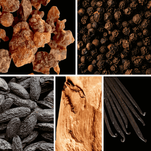 Preview: Duftnoten: Myrrhe, Pfeffer, Tonkabohne, Sandelholz, Vanille